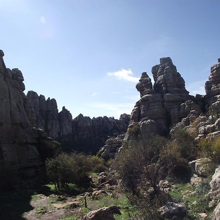 Villanueva de la Concepción Rincon Del Torcal Bed & Breakfast エクステリア 写真